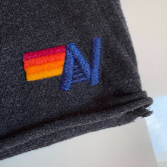 Aviator Nation Bolt & Logo Fade Boyfriend Tee Dark Grey Pink Purple M NWOT - Picture 6 of 7